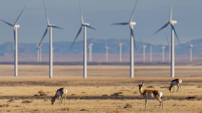 Wyoming Billions in Wind projects