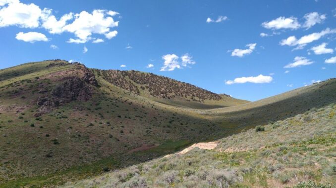 Orla Mining expands Nevada landholding with Contact Gold acquisition Orla Mining