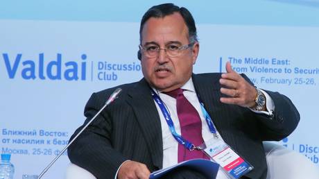 Red Sea region ‘already on fire’ – former Egyptian foreign minister Red Sea