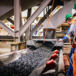 The Metals Company