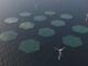 World’s largest floating solar