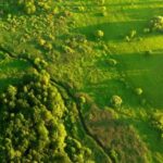 Nature restoration