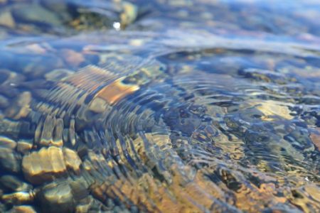 LIVE NOW! Securing water for tomorrow – What course should the EU take? EU