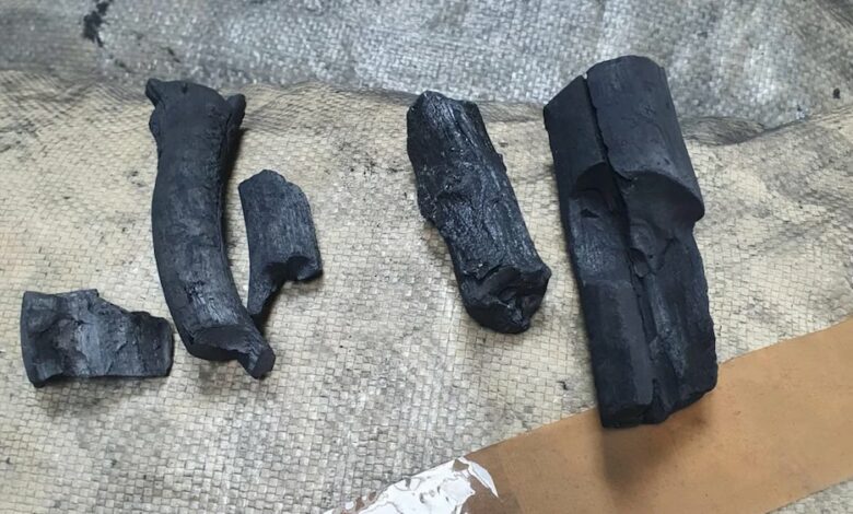 Coal