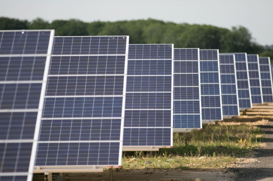 ruthless net zero agenda