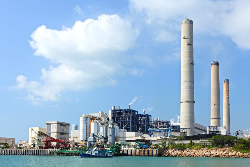 Kingston plant