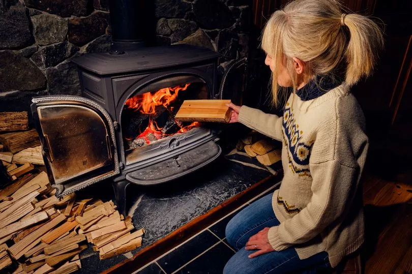 Wood burning stoves