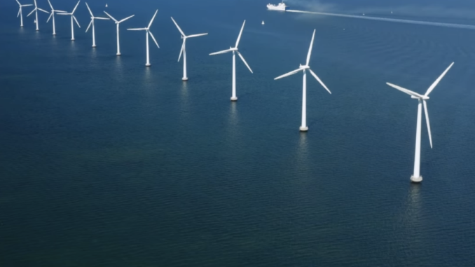 NOAA Permits Wind Energy Operators to Harass and Kill Whales Wind Energy