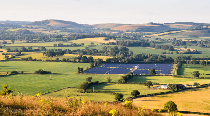 solar farm