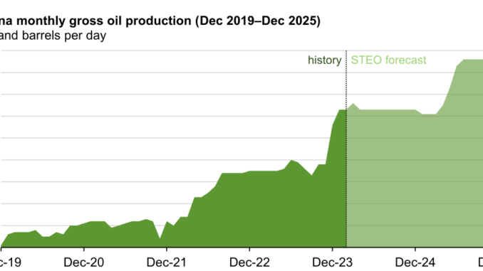 Guyana becomes key contributor to global crude oil supply growth Guyana