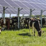 Wyoming Solar Farms