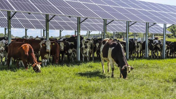 Wyoming Solar Farms