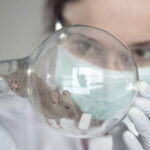 Scientists