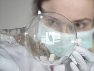 Scientists