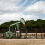 Oil