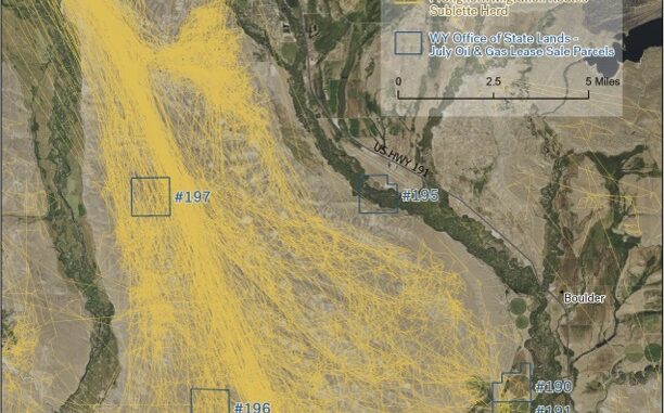 Wyoming bans conservation bidders from oil and gas lease sales Wyoming