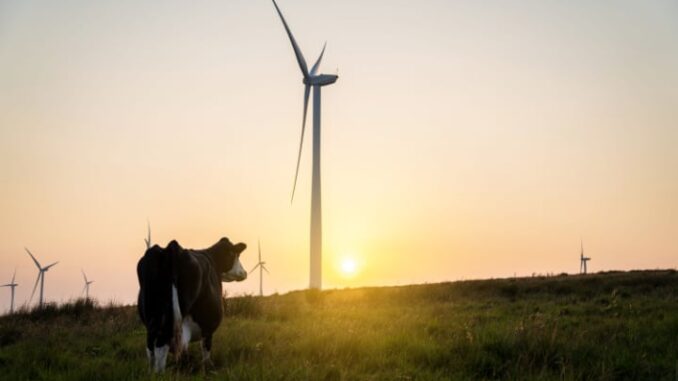 Global push for renewable energy falls short of targets