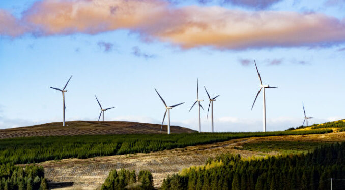 ‘UK must tackle net zero nimbys’ - But how UK