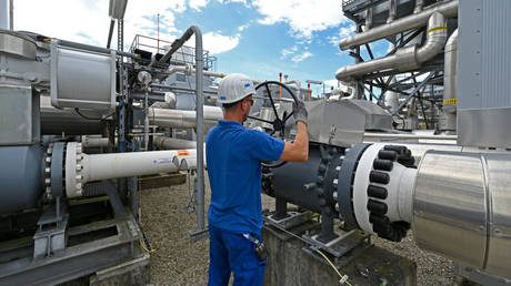 EU state makes new Russian gas promise Russian gas