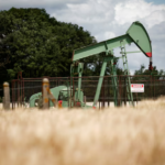 Oil