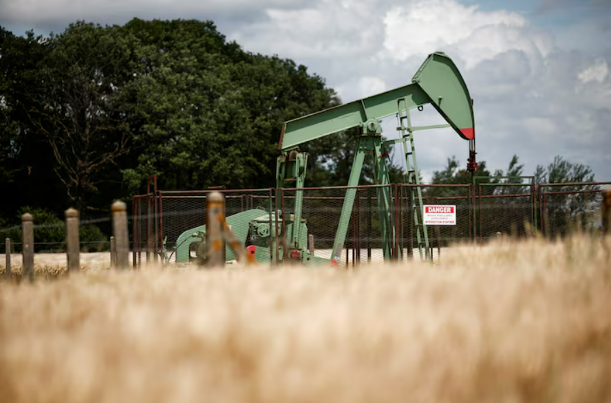 Oil