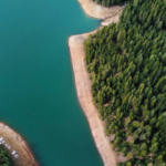 carbon credits