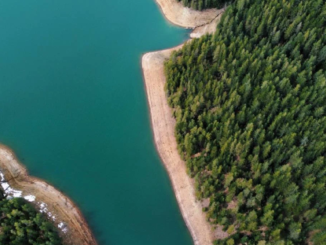 carbon credits