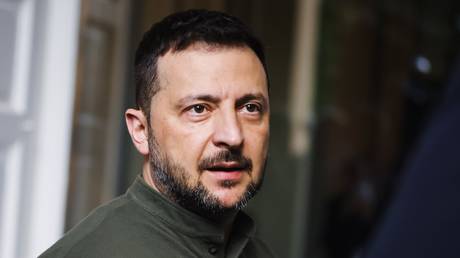 Zelensky had furious row with Polish FM – ex-diplomat Zelensky