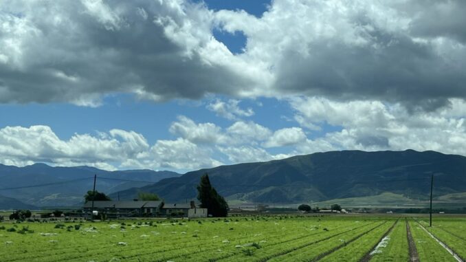 Rising CO2 The Supercharged Boost Behind Global Crop Yields And Food Security Rising CO2