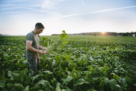 food systems