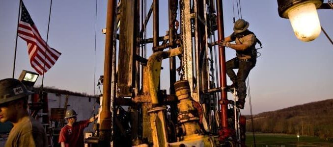 Oil