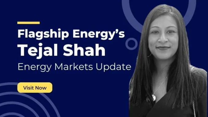 Flagship Energy’s Tejal Shah Energy Markets Update – 7th November 2024 Energy