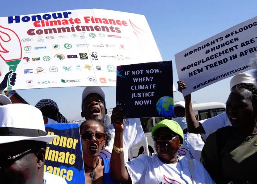 COP29