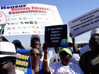 COP29