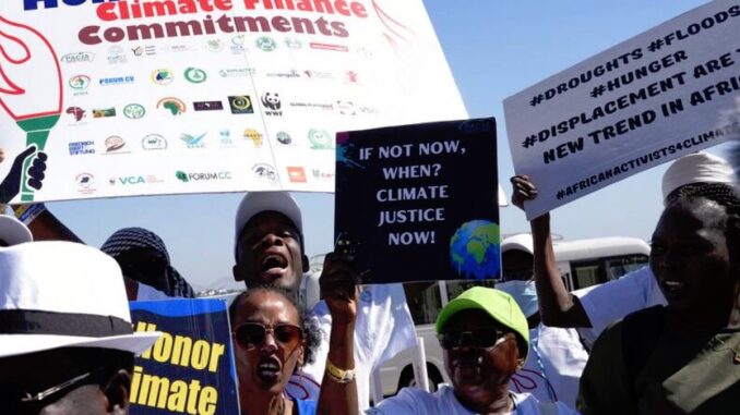 COP29