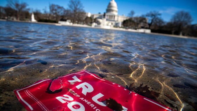 Trump’s Victory Has Opened the Disinformation Floodgates Disinformation