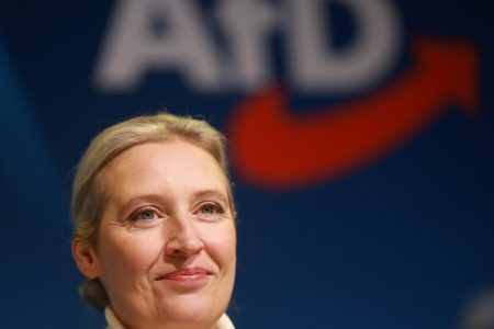 Musk likely to host German far-right leader for online chat on X host