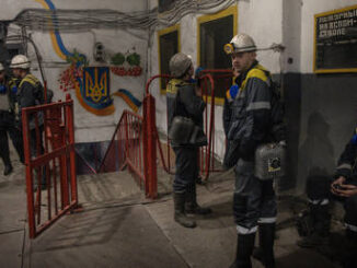 mineral reserves