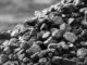 Coal Power Construction
