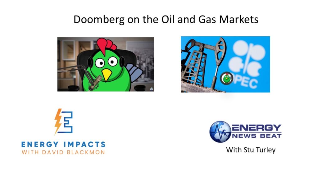 Doomberg, David Blackmon and Stu Turley on the Energy News Beat podcast