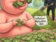 Inflation Reduction Act created by Grok on X