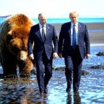 President Trump and President Putin walking their new joint Bear created by Grok on X